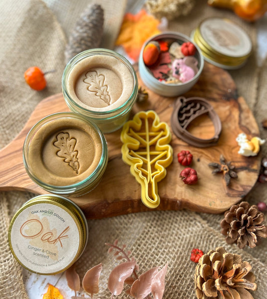 Oak and Acorn Playdough Kit