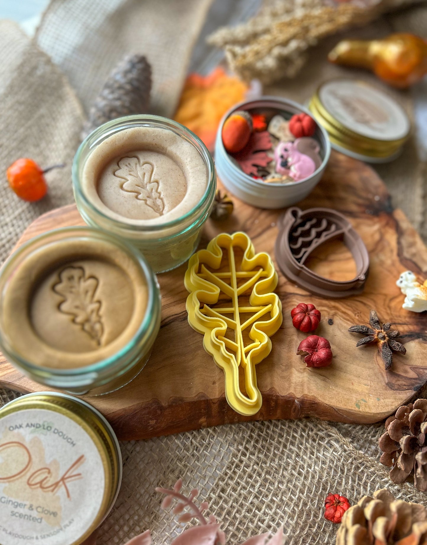 Oak and Acorn Playdough Kit