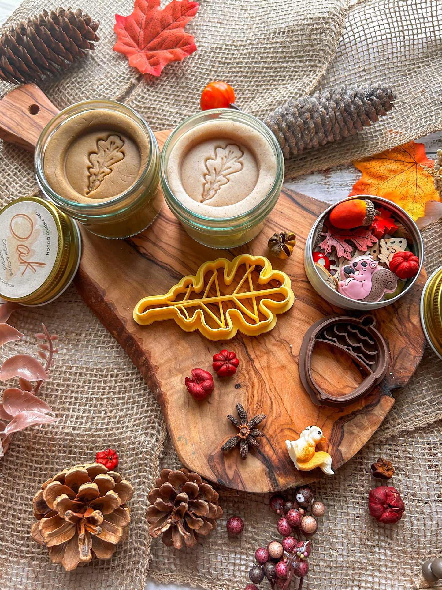 Oak and Acorn Playdough Kit